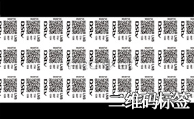 鉴黑担保网A-1喷码平台一体机Technical Parameters